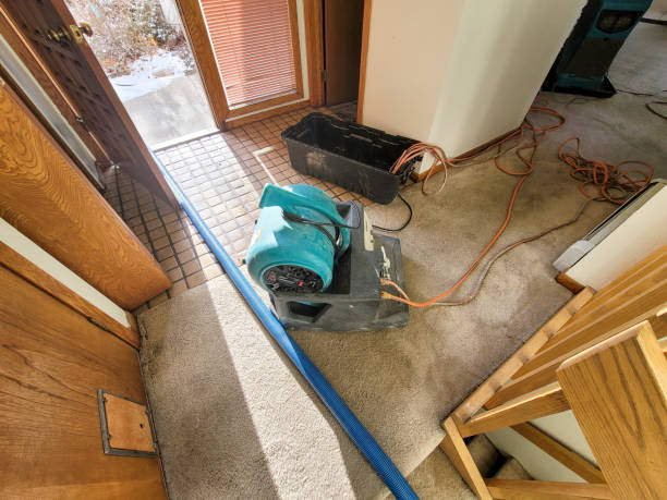 Best Local water damage restoration  in Brilliant, OH